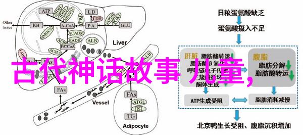 水浒传中的宋江从好汉到反贼再到英雄