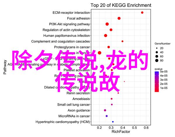 紫禁城的秘密花园帝王的私密天堂