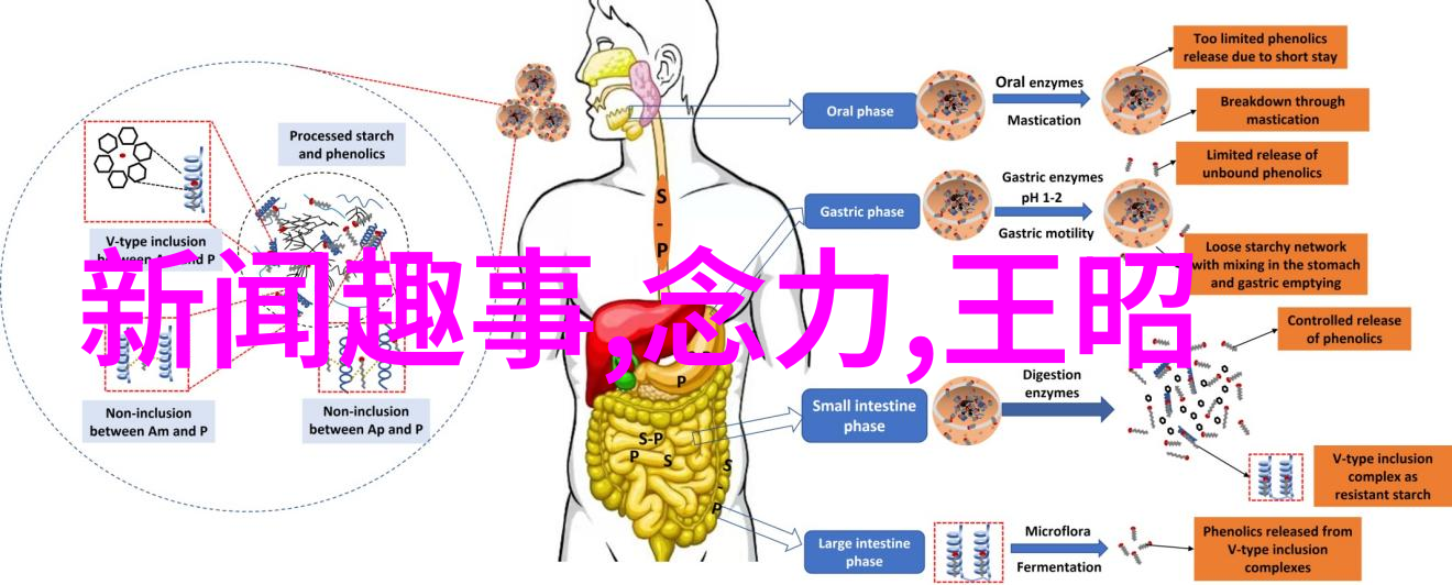 历史上的奇迹与传奇-穿越时空的恋人一段跨越千年的爱情故事