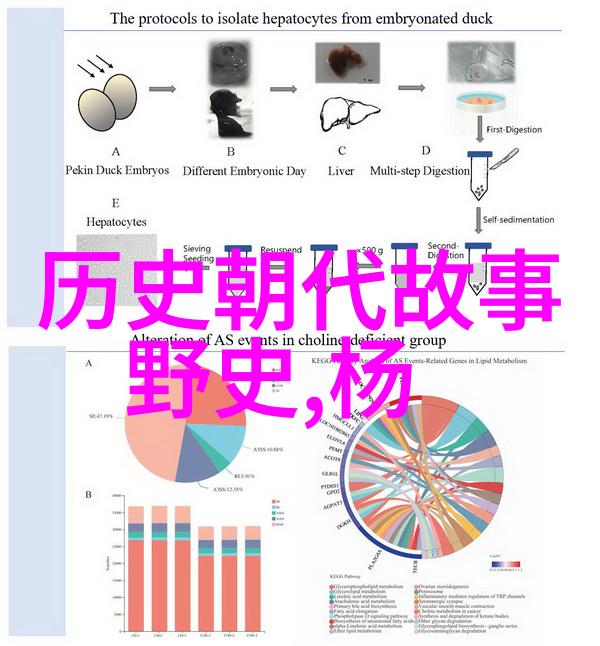 jy灌溉公交车唐小米-绿色出行的未来jy灌溉技术与唐小米的智慧共创