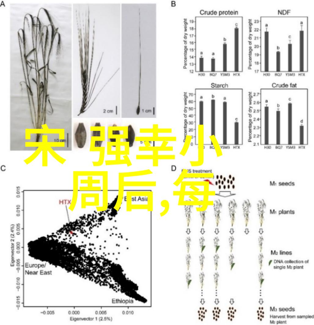 故宫的野史趣闻偷窥皇帝秘密的隐秘花园