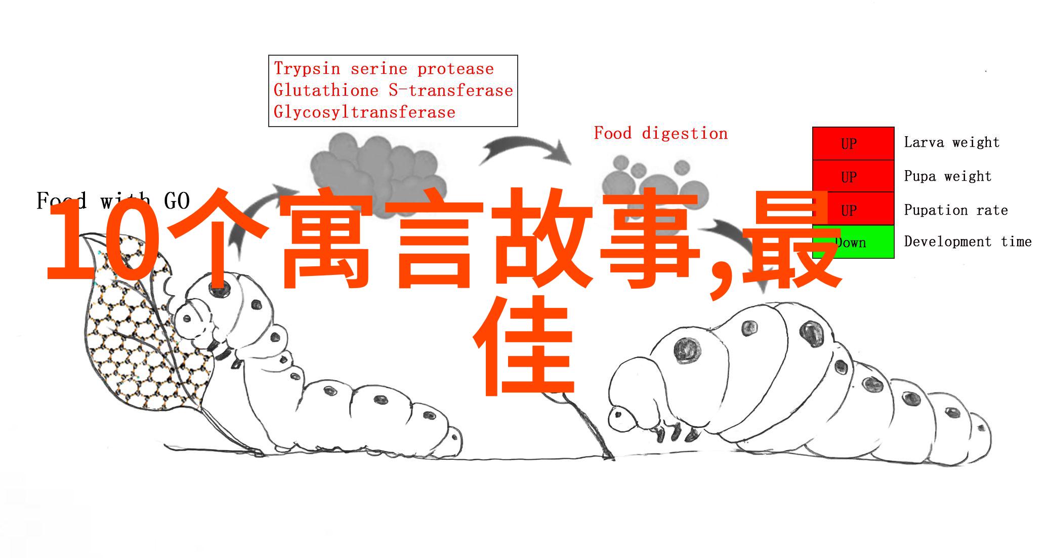 银河之镜古老星辉的守护者