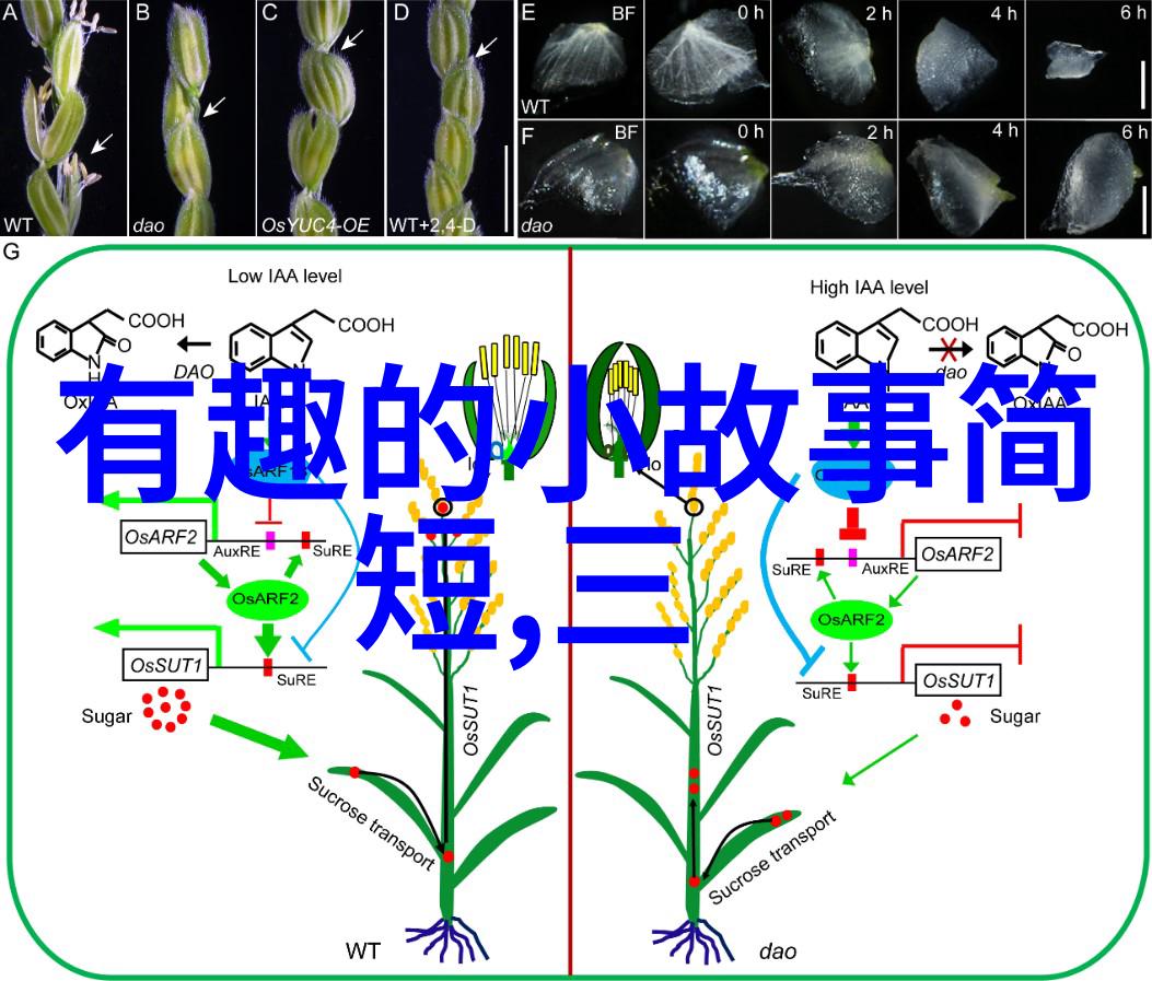 诵读往昔中国经典短篇历史故事100篇选读