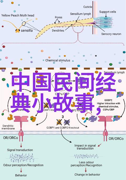 农村老人的故事时光德宝斋的历史传说