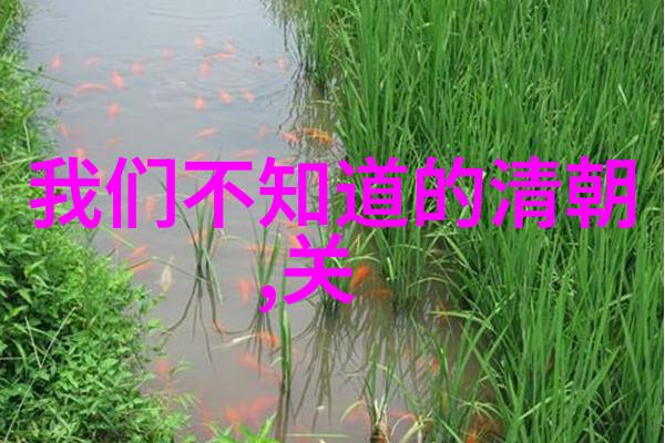 春节家人团圆的喜悦清明节祭扫祖先缅怀往昔端午节龙舟竞渡避五行凶险中秋节月饼相思远亲近情重阳节踏青寻幽