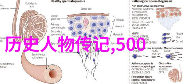 奇幻世界探索适合四年级生的中国神话故事