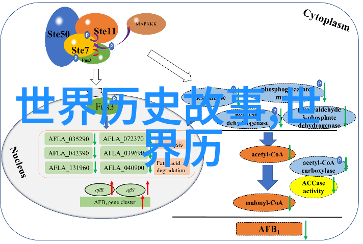 医者仁心回顾中国医学史上杰出的张仲景