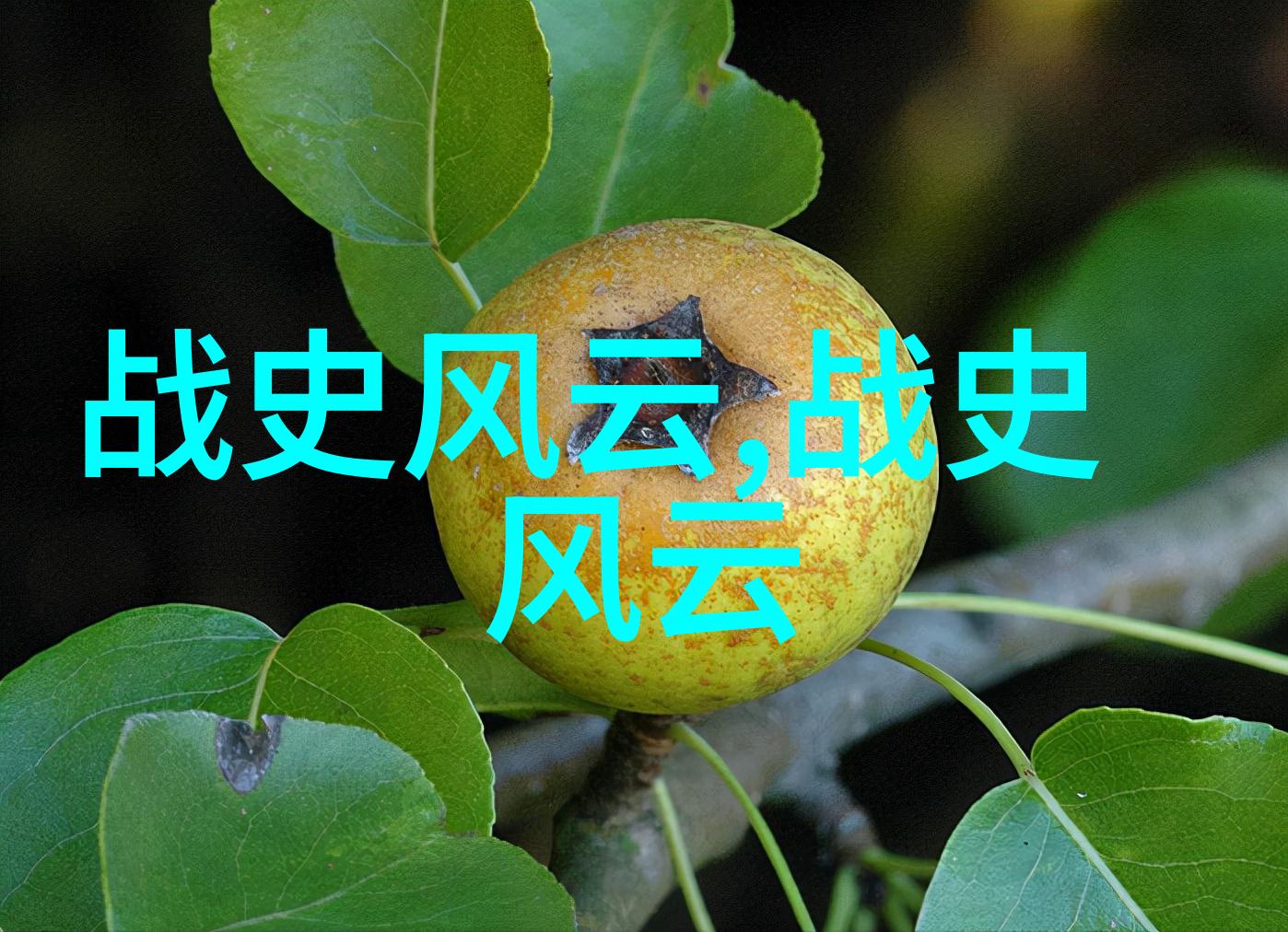 聊斋志异中的倩影中国古典文学中的恐怖故事