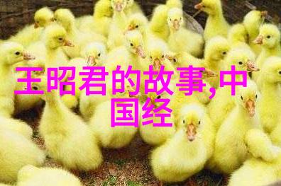 课本上不讲的我的学霸秘密