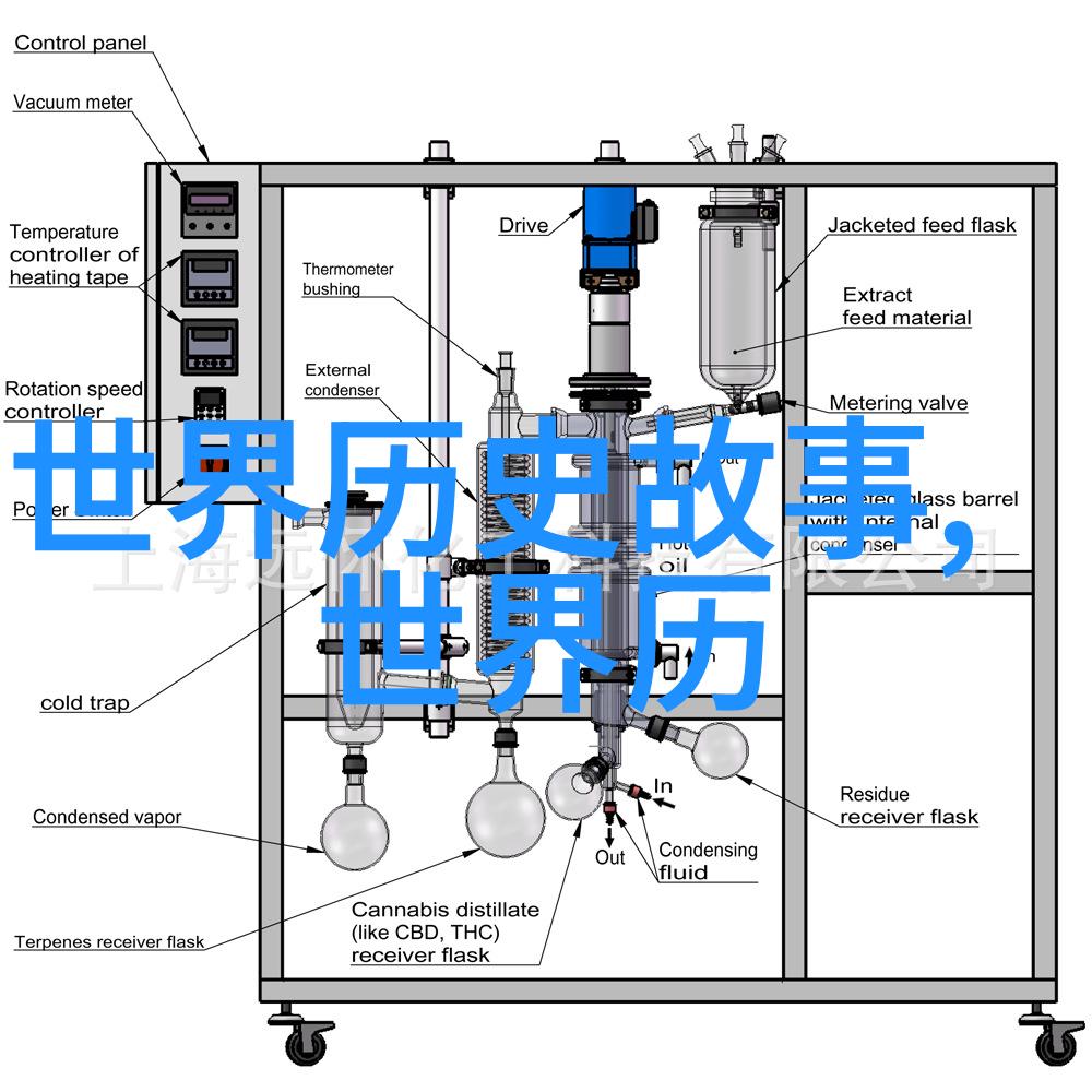 黑帮老大的背后秘密揭开第二部视频的真相