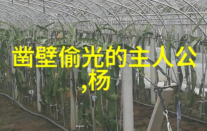 艺术之心探索跨越时空的创造力基因