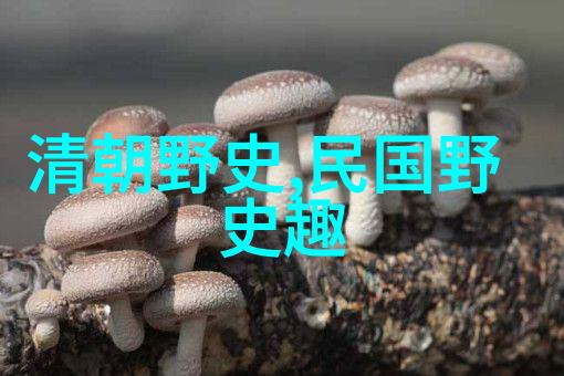 欲罢不能冯华-执着追梦的不屈之心冯华的故事