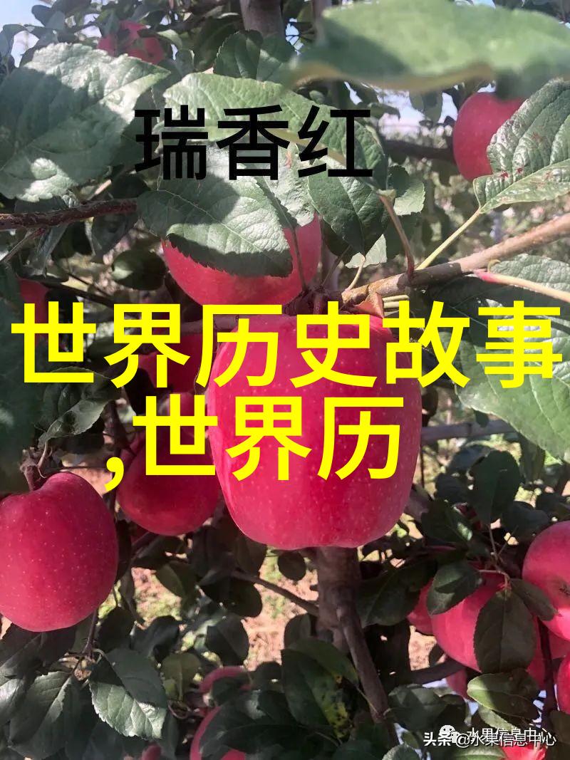 失落的皇宫秘密三国时期的最后一封信