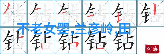 三人运动实战指南如何高效合作打造完美团队体验