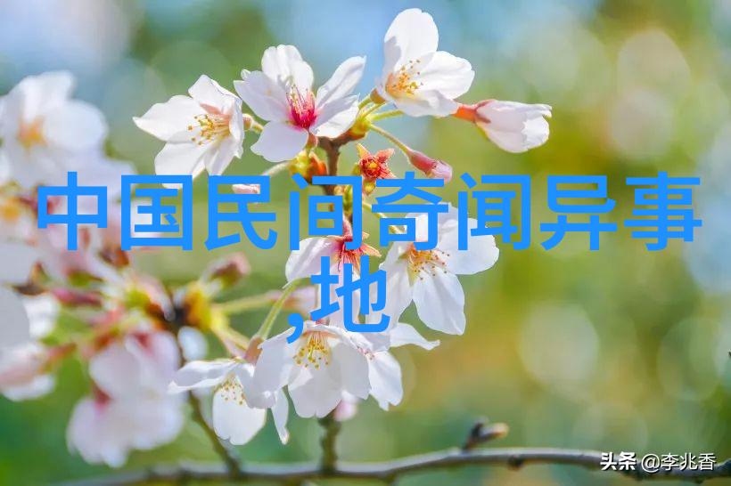 牵牛花之恋民间传说中的爱情悲剧