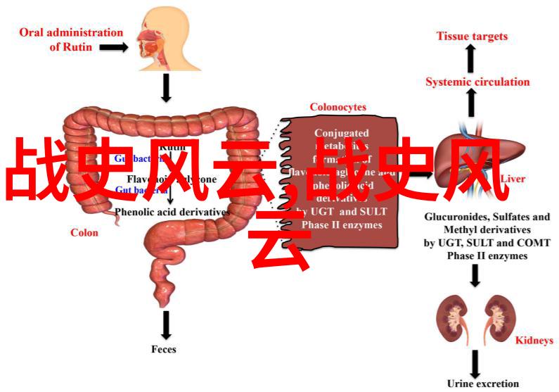 网址你知道我的意思的-隐喻编码解读网址背后的情感密码