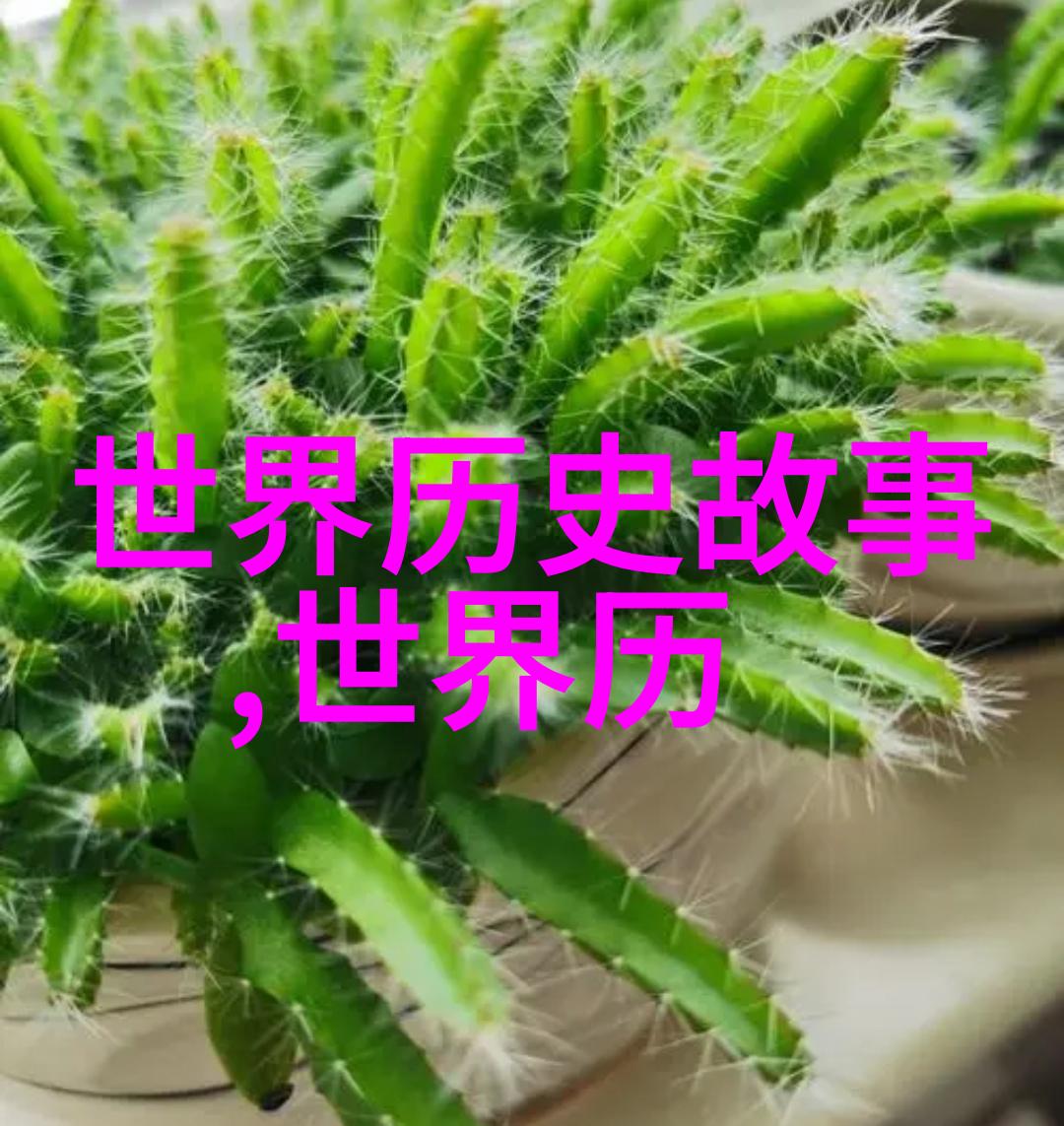 有种你试试挑战极限探索自我