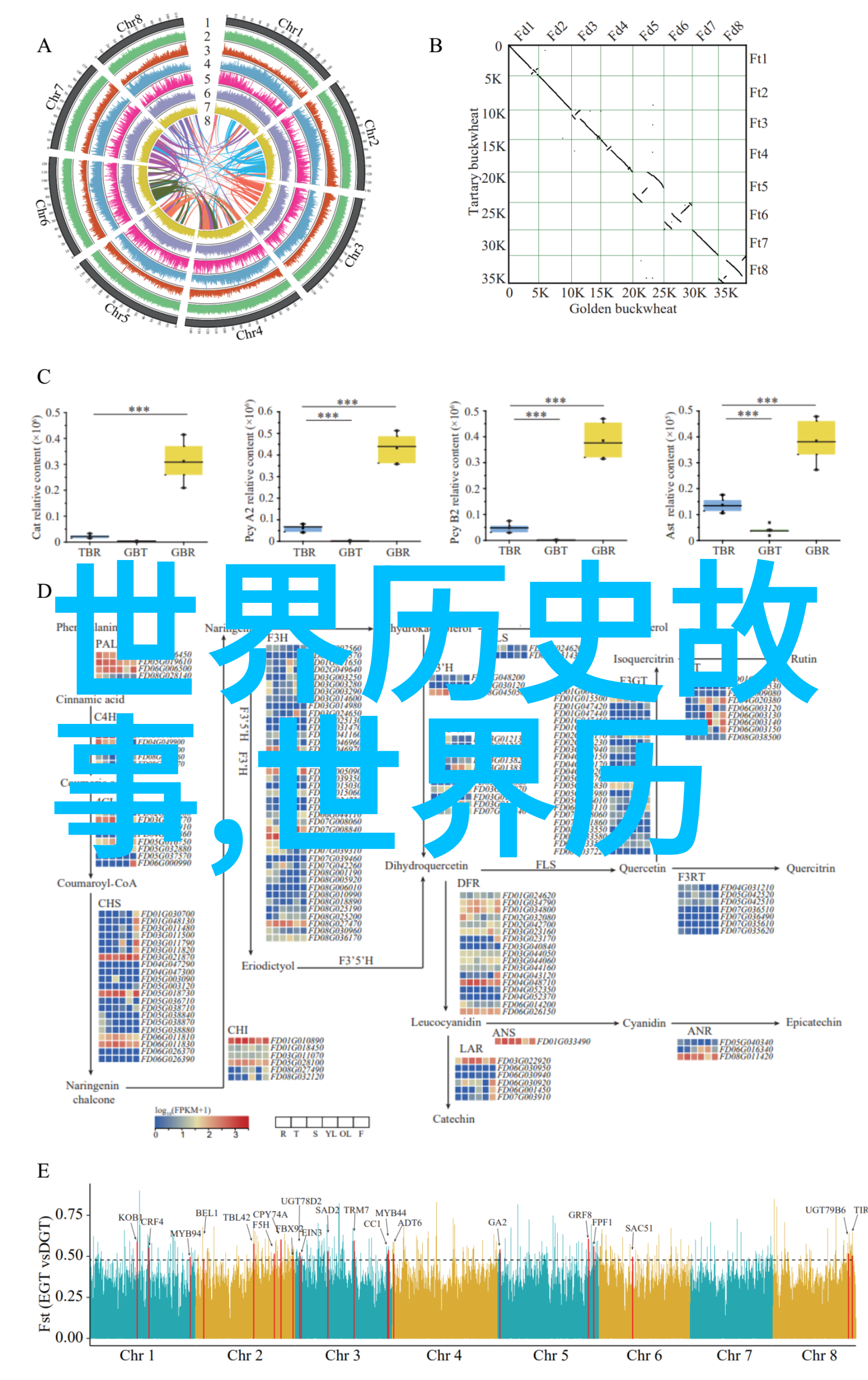 催人泪下的红色故事演讲稿我的红颜情深一场让心动荡的回忆