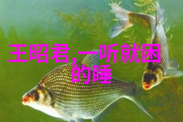 星辰大海里的宝藏鱼水生生物的神话传说