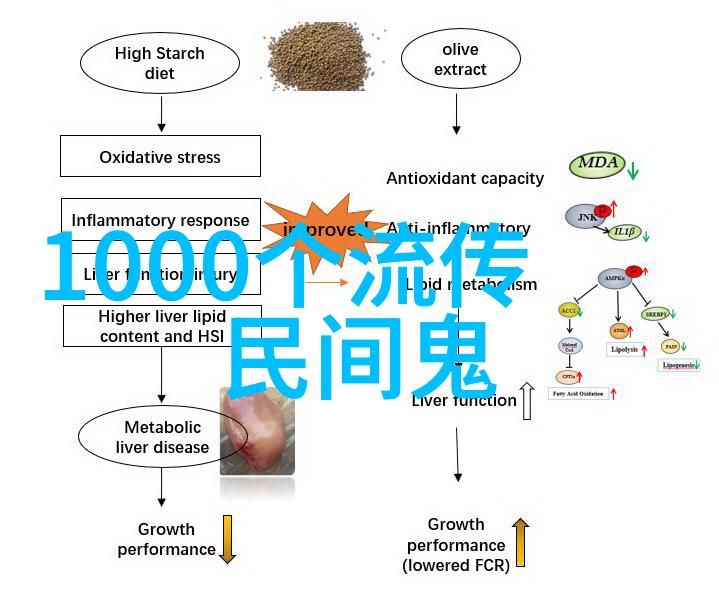 中东古代文明的崛起与衰落巴比伦迦克特和埃及