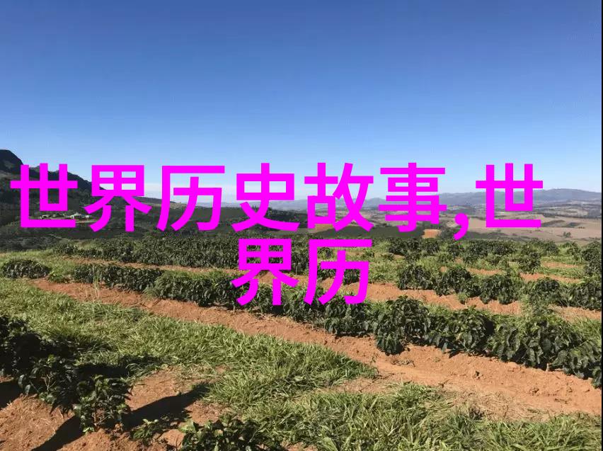 隐藏在网络的影子21世纪最深层次的黑客帝国