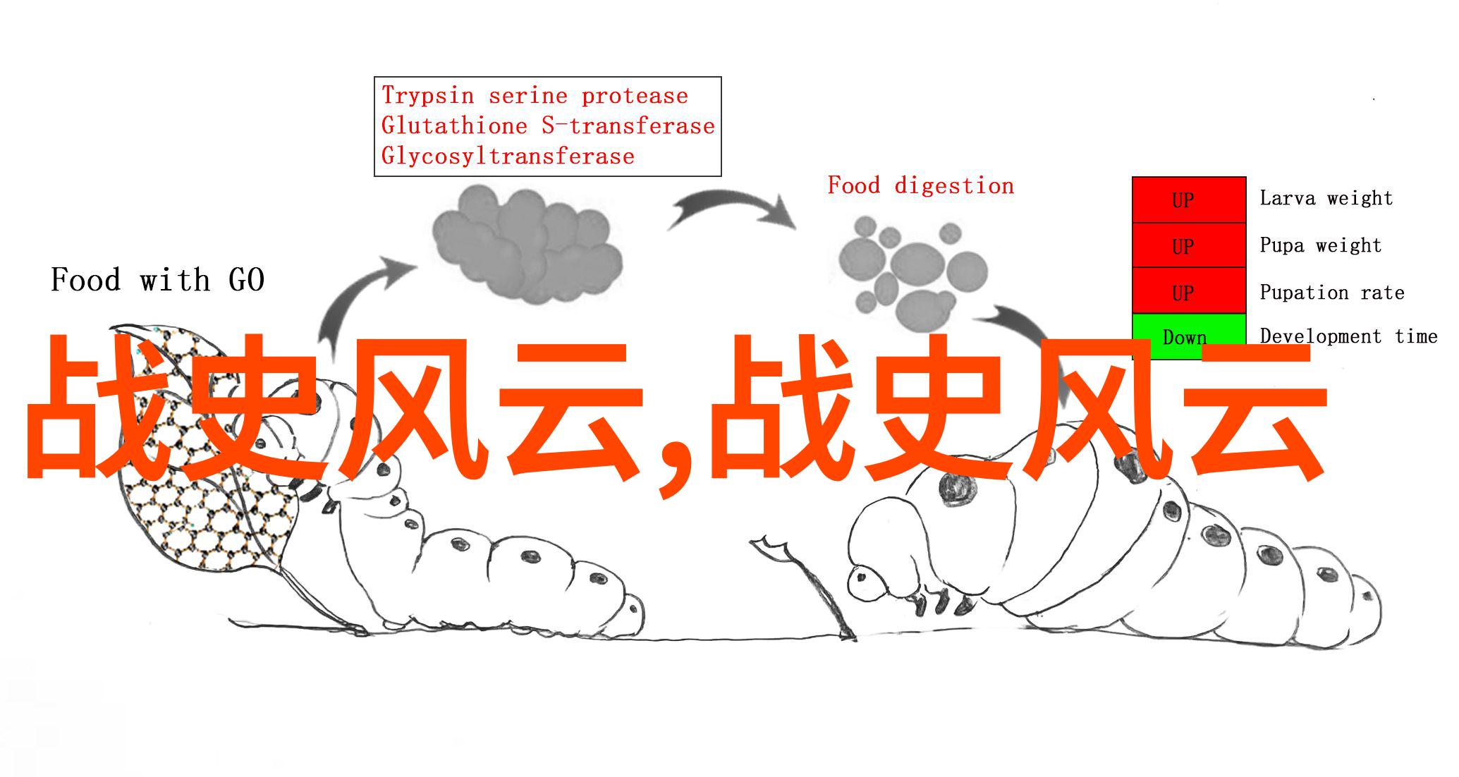 神话探秘中国古代传说故事精华