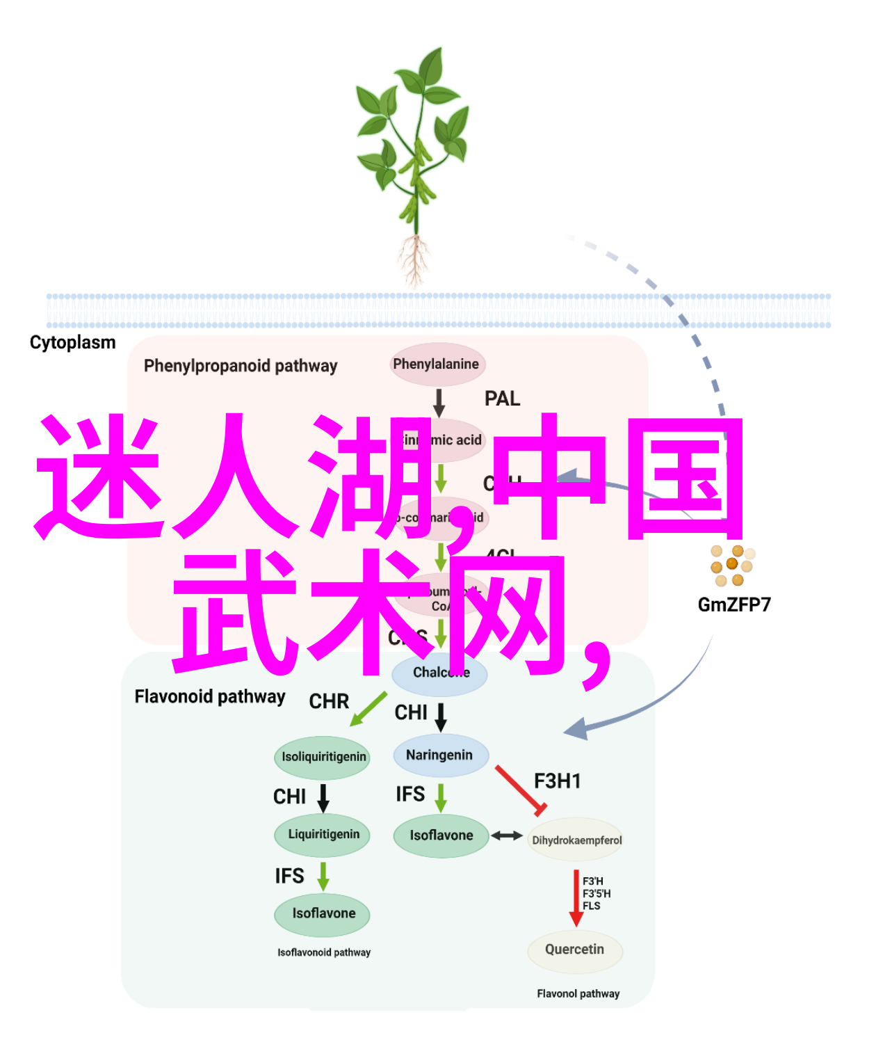 穿越时空的邮差阿拉伯商人与中国茶叶的奇妙传递