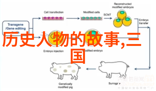 神秘传说-探寻龙宫谁将掏出古老的龙具