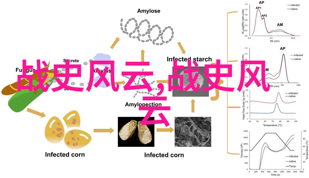 孙悟空在西游记中的真实历史背景是什么