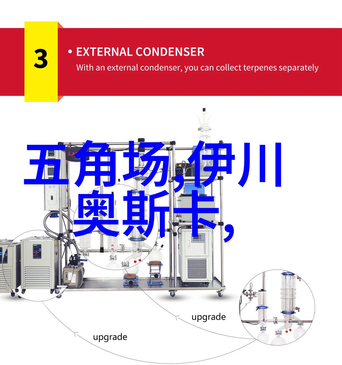 古代神话故事百态丰富的传说与传奇