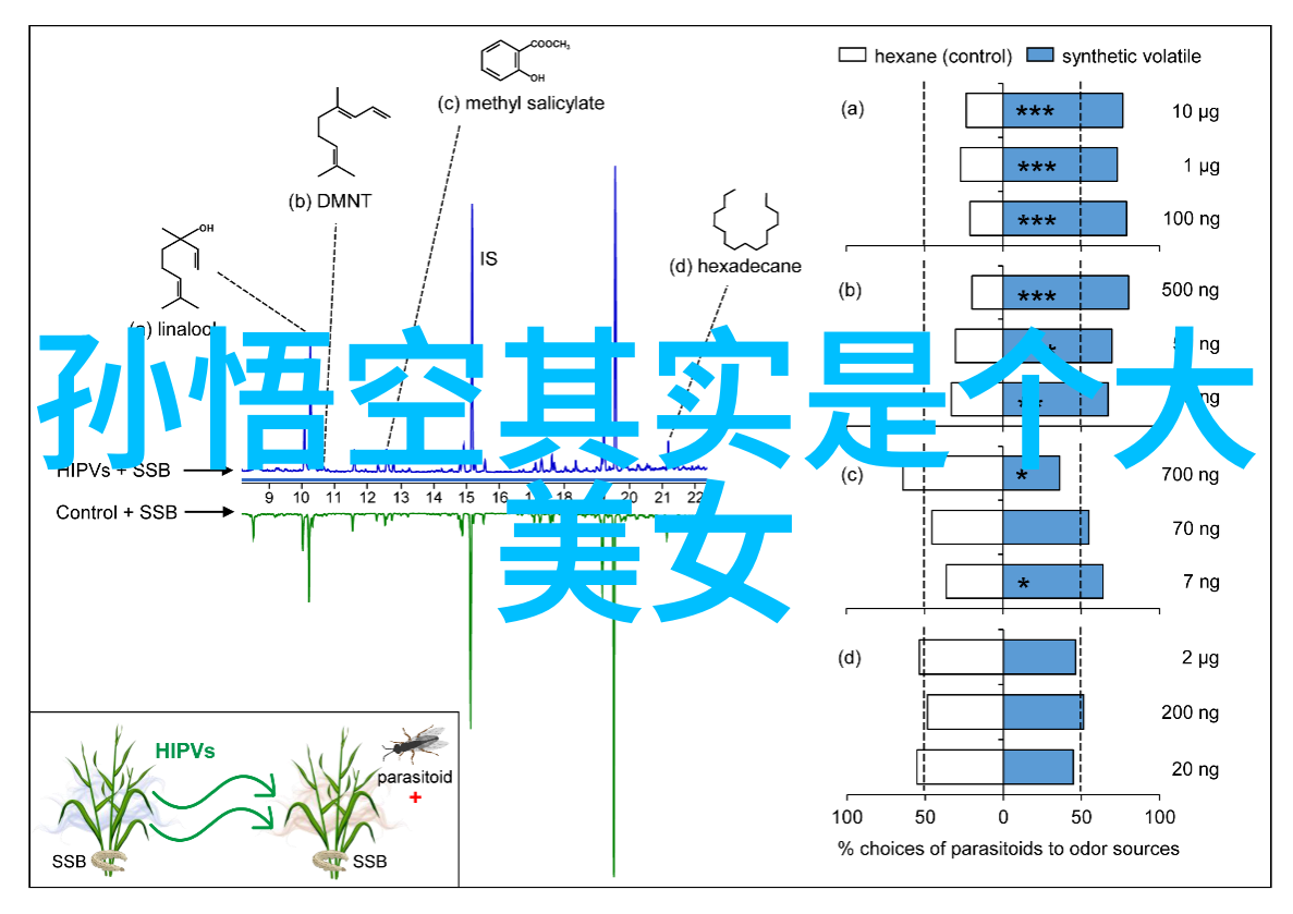 探索历史的巨人李白的诗行与时代