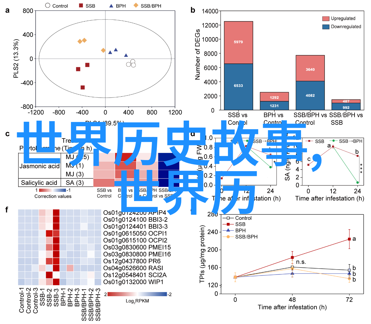 山海经的传说之旅揭秘五行之外的神秘区域