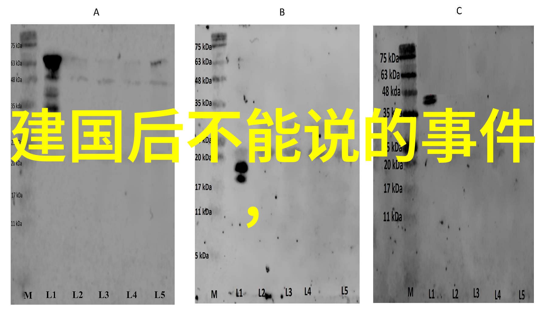 奇闻趣事大全集神秘现象与离奇事件的惊悚录