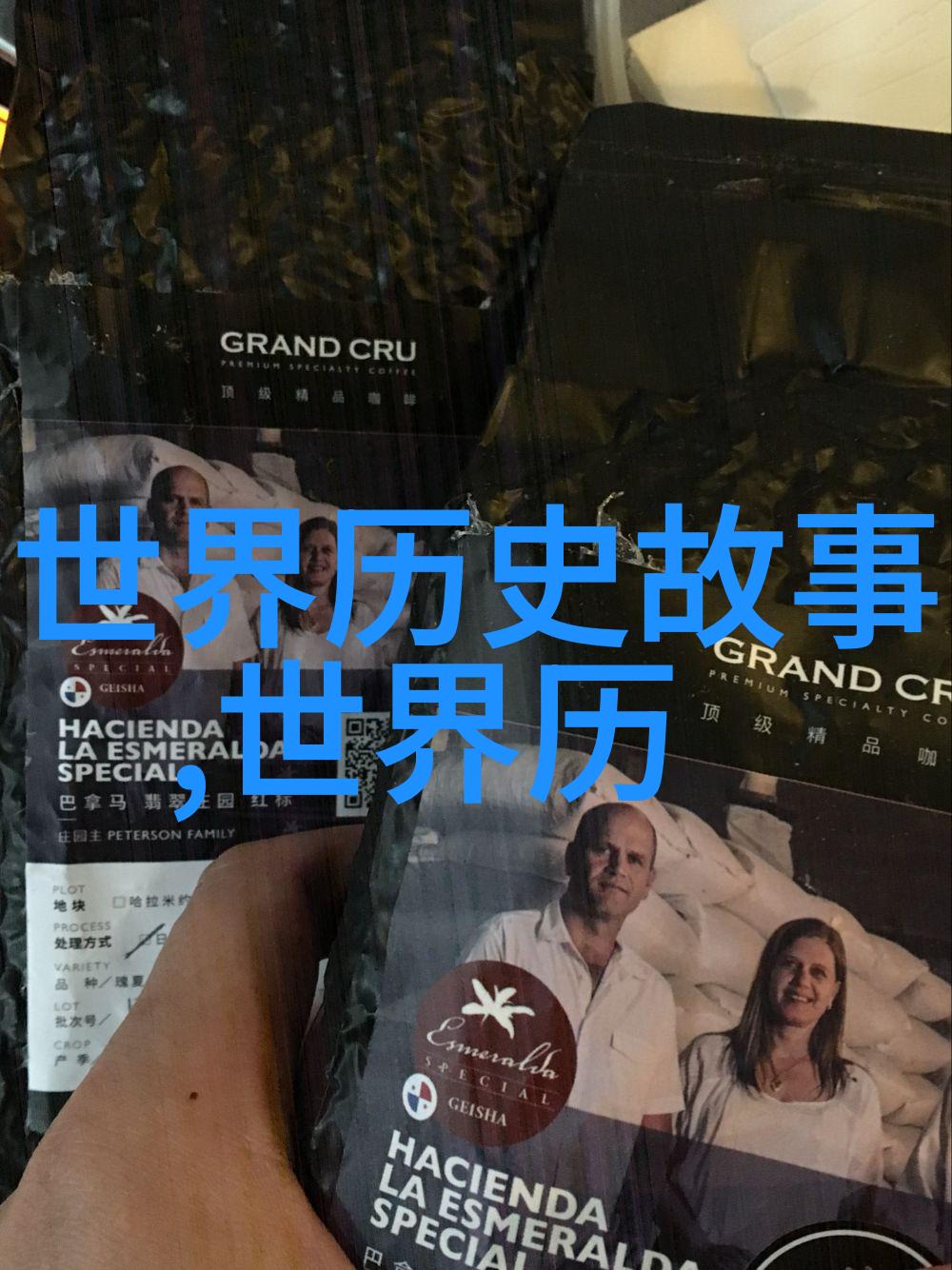 飞行先驱与梦想破坏者莱特兄弟背后的故事