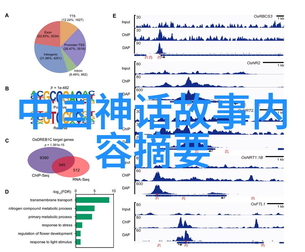 民间故事大全免费故事会的宴席上菜单竟然是开国第一宴让我们一起来解密这场历史性的盛宴