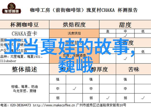 当代野史-隐秘的网络足迹揭开现代生活中的真实故事