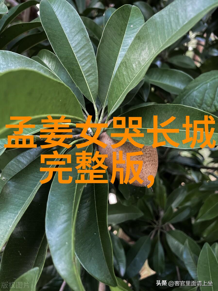 介绍历史人物200字-走进时光一百八十字的历史巨人