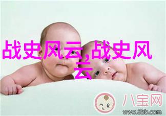 明朝的女杰张养心