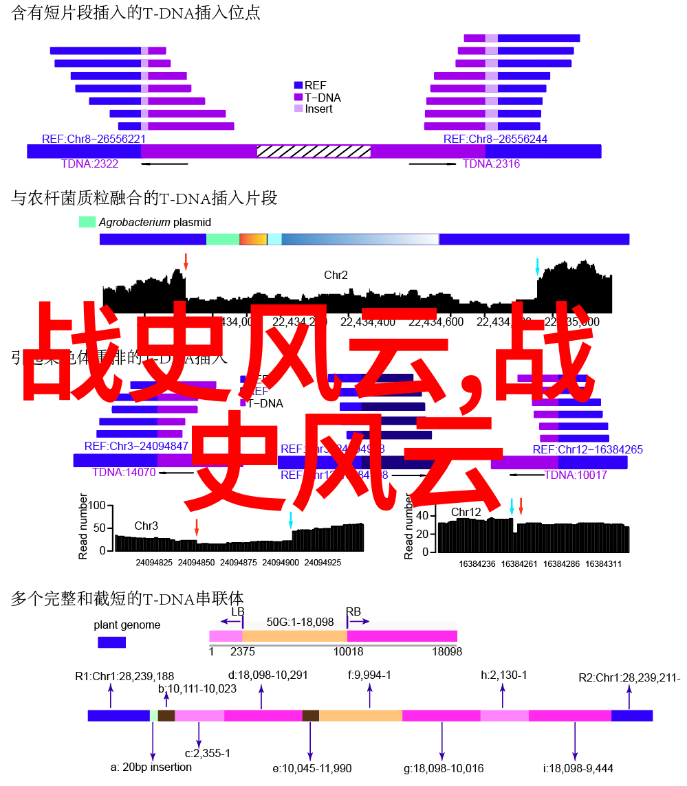 乌拉那拉氏断发一段历史中的逆袭与荣耀