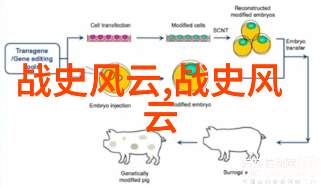 古代帝王私生活中的荒谬真相