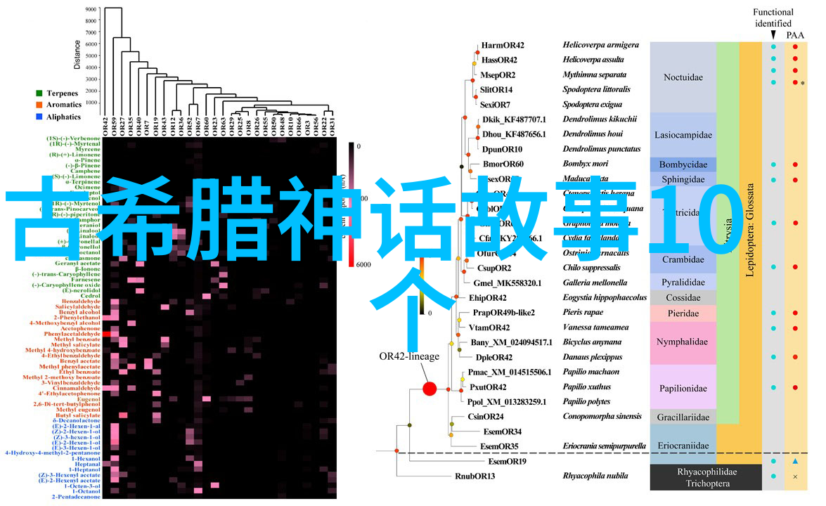 后宫群穿越古代的权力与爱恋