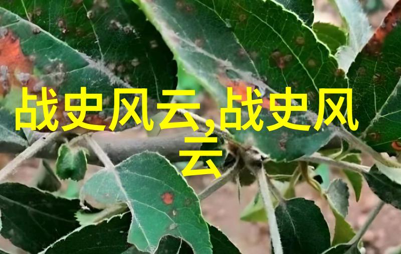 碧波荡漾的革命梦想