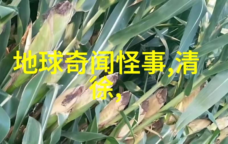 元朝覆灭文化遗韵与三大凸因(图)