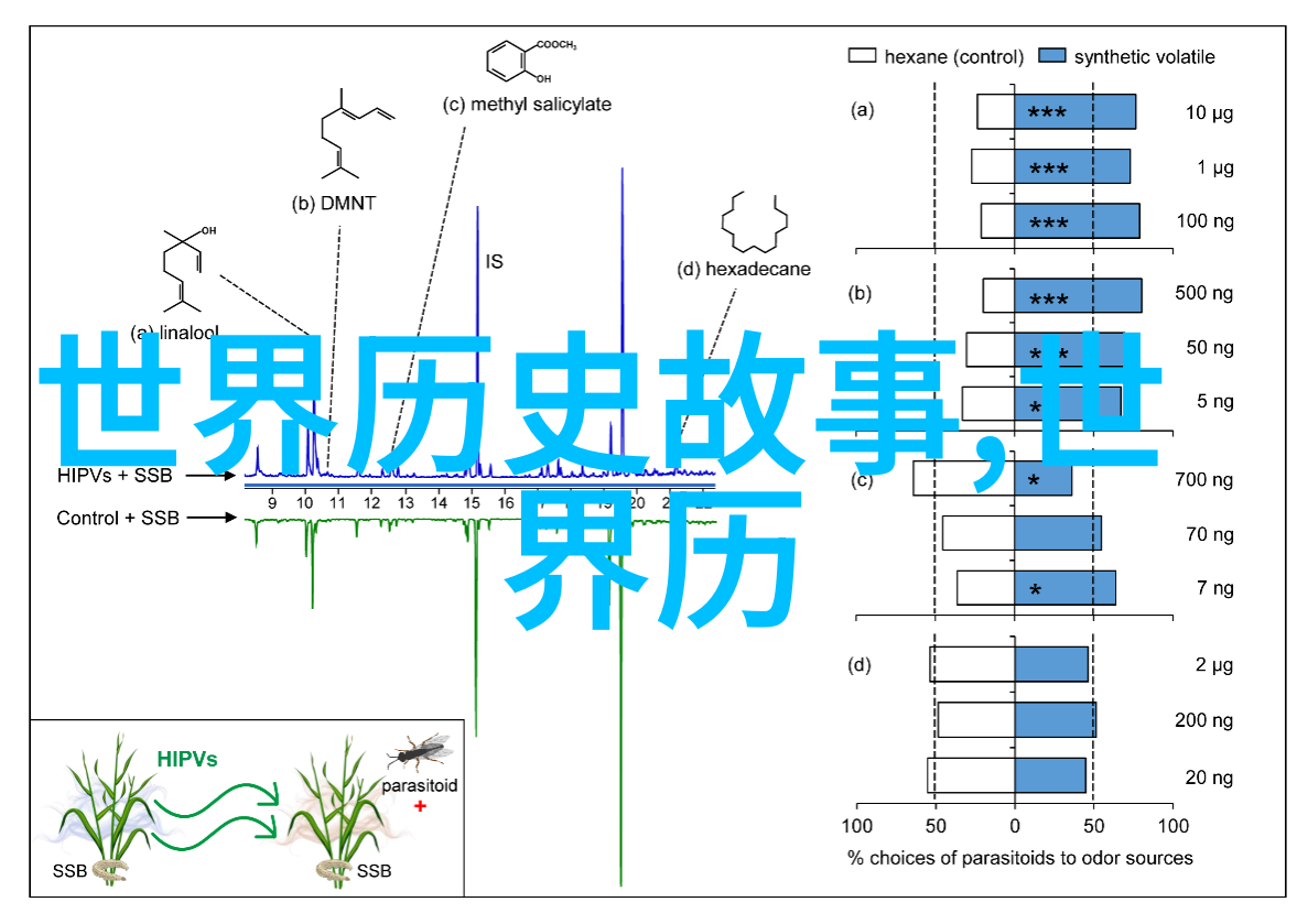 穿越时空的历史长廊中国古代杰出人物与璀璨事件