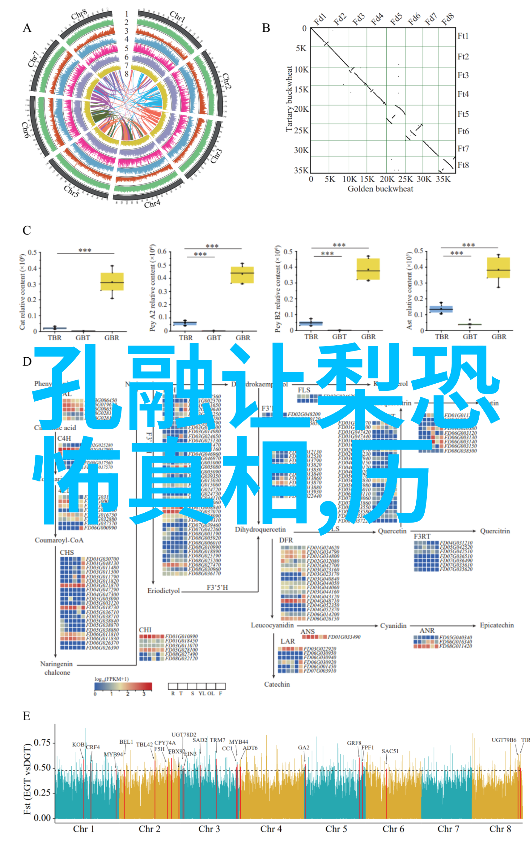 土木堡在哪个位置我去年路过那儿的时候老板说它就在河北省张家口市下花园区附近你要是去的话记得带好导航