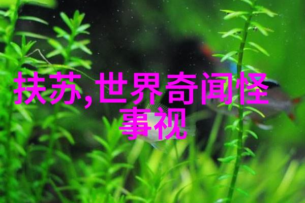 纠缠的梦境一夫多妻之谜