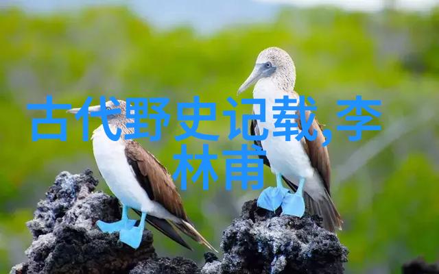 黄河秘密揭开黄河流域深邃恐怖面纱