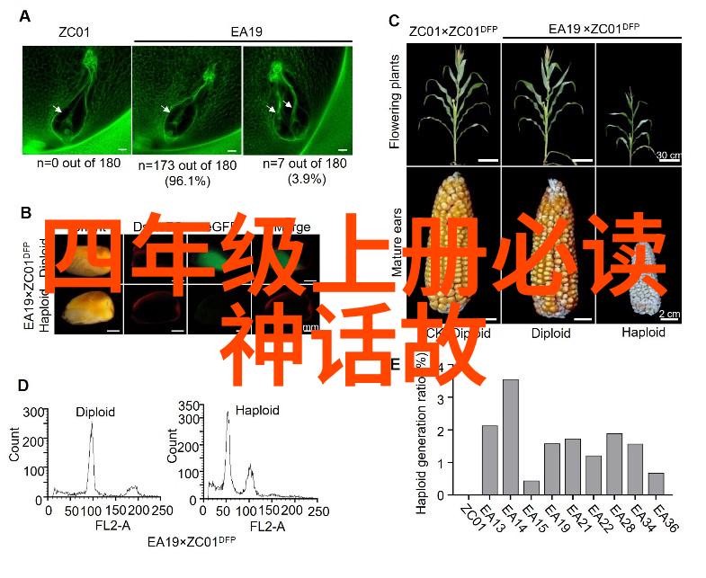 轻点灬大JI巴太粗太男