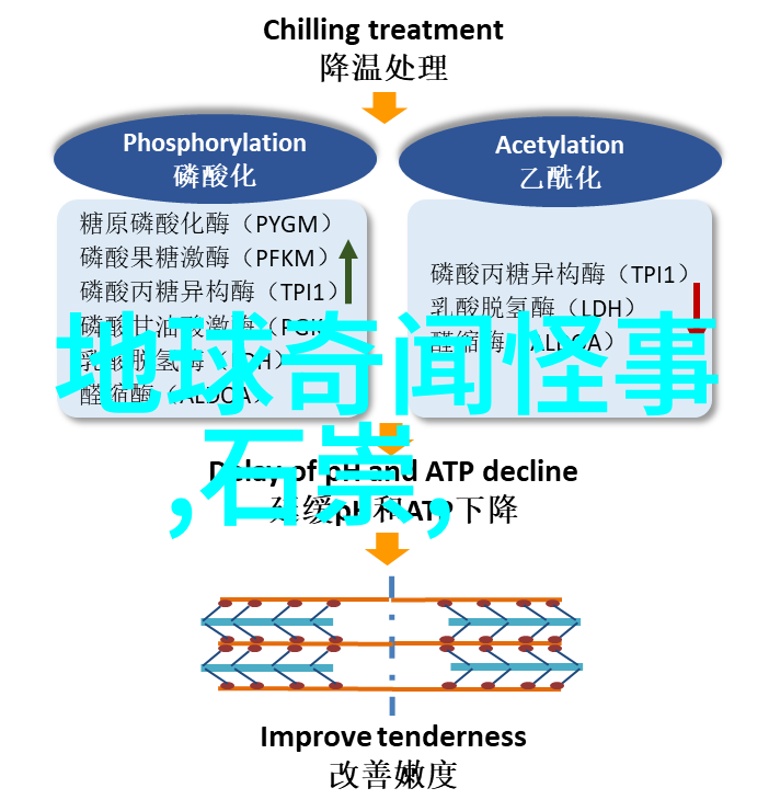 哪吒神童的逆袭妖怪之战与家国情深