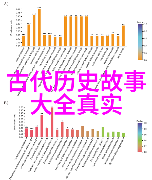 小说欲火焚烧免费阅读全文我的故事从这里开始了